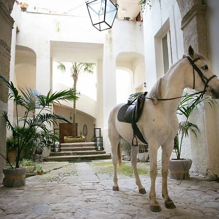 Ferienwohnung IL Marchese Del Grillo Tropea Exterior foto