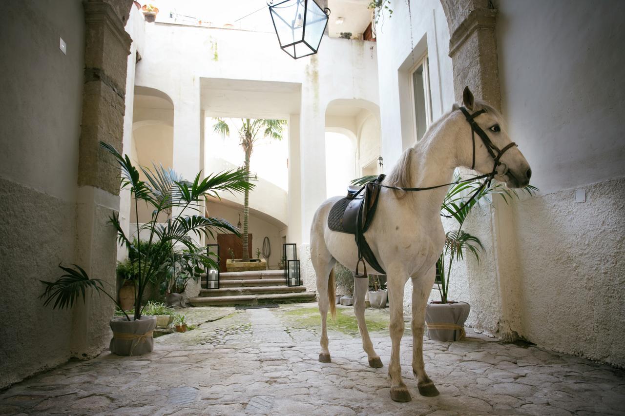 Ferienwohnung IL Marchese Del Grillo Tropea Exterior foto